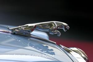 Jaguar Emblem