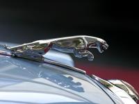 Jaguar Emblem