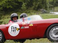 Gaisbergrennen20142083.JPG