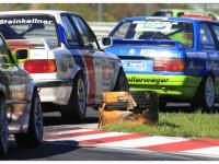 BMW-325-Challenge-Histo-Cuo-(119)