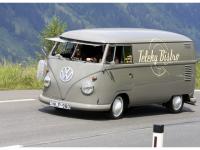 VW-Bulli-Treffen-2010-(113)