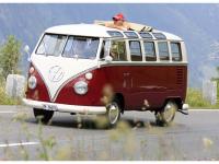 VW-Bulli-Treffen-2010-(118)