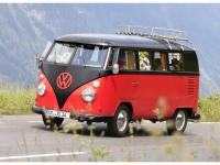 VW-Bulli-Treffen-2010-(120)