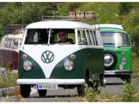 VW-Bulli-Treffen-2010-(132)