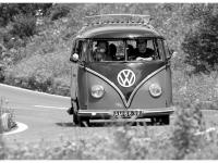 VW-Bulli-Treffen-2010-(138)