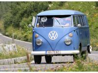 VW-Bulli-Treffen-2010-(142)