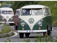 VW-Bulli-Treffen-2010-(146)