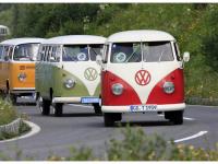 VW-Bulli-Treffen-2010-(150)