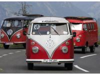 VW-Bulli-Treffen-2010-(166)