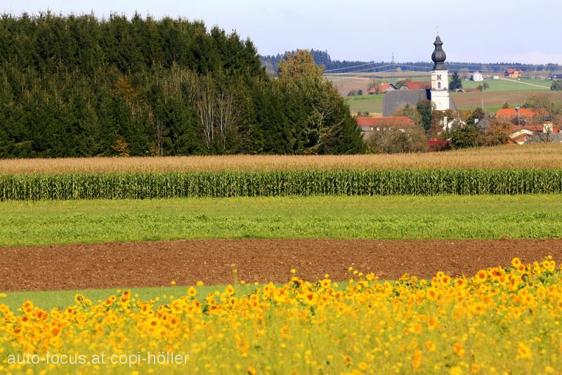 SalzundOel2014822.JPG