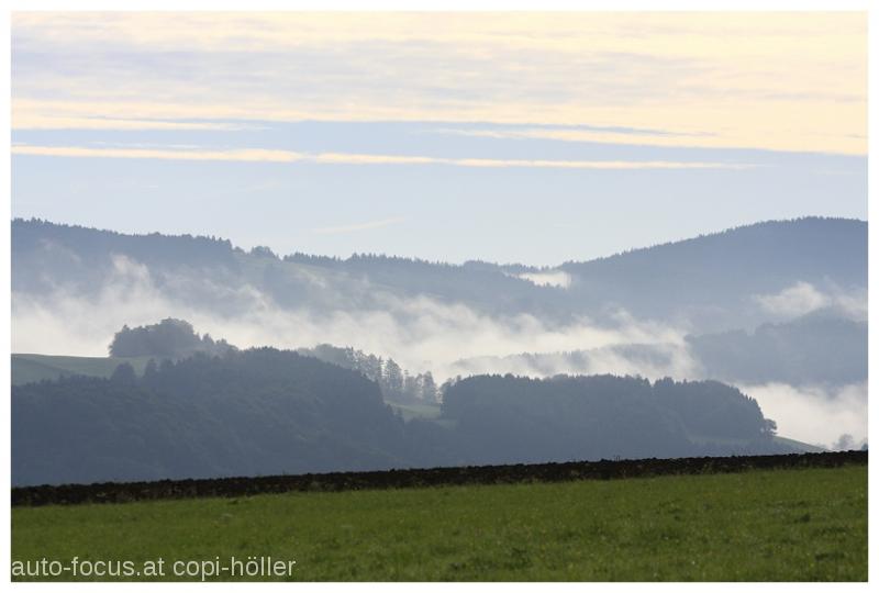 Salz-und-Öl-2010-(130)