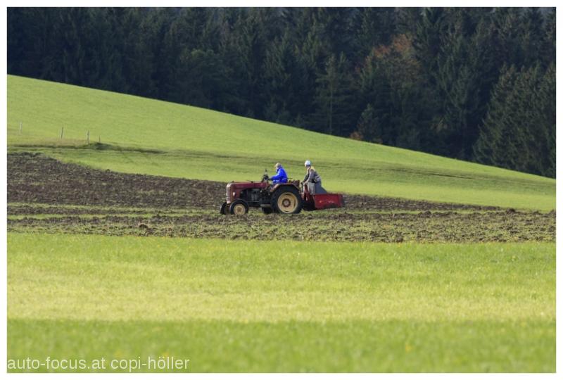 Salz-und-Öl-2010-(168)